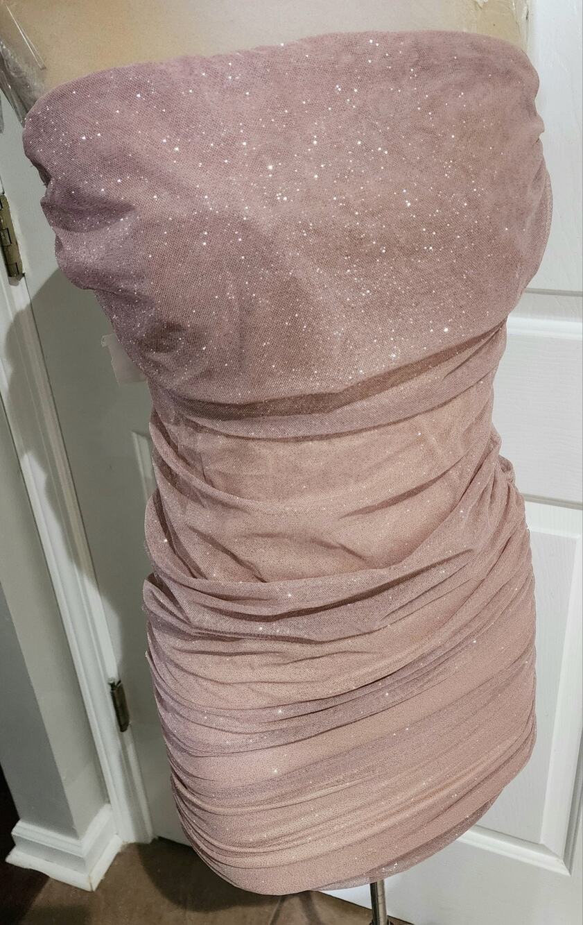 J. Our Halter sheer Glitter Nude Pink Ruched Bodycon Dress sz. Large NWT